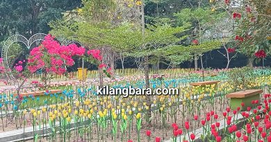Wisata Malam Siap Digelar 40 Hari!Festival Lampu Meriahkan HUT Kota Tasik, 30-50 Ribu Tiket Free